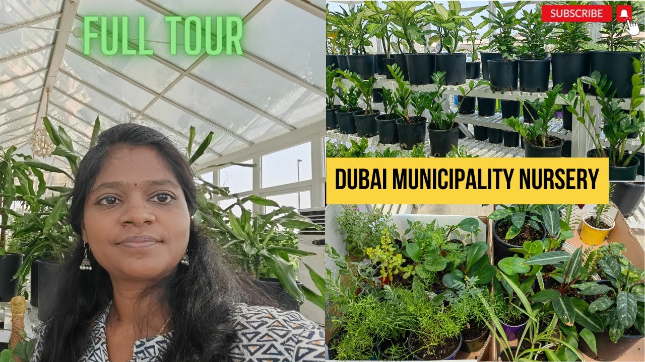 Dubai Municipality Nursery Full Tour Plants For Less Than AED 1