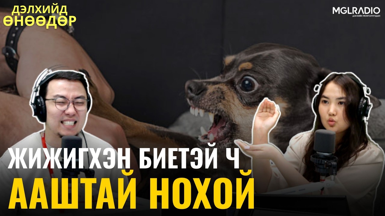 Дэлхийд өнөөдөр | 2026-05-14 | Хамгийн жижигхэн ч, хамгийн ааштай нохой