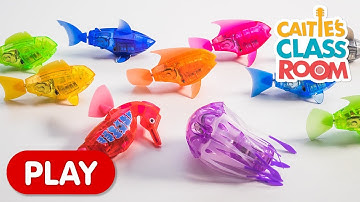 Learn Colors with Amazing Robot Fish! | Caitie