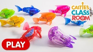 Learn Colors with Amazing Robot Fish! | Caitie's Classroom screenshot 5