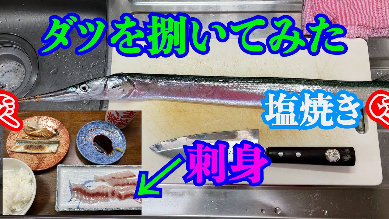 ダツを捌いてみた。捌き方…刺身 塩焼き 骨煎餅 - YouTube