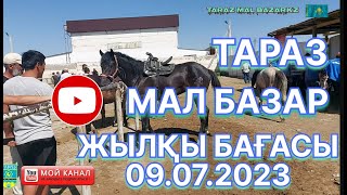 МАЛ БАЗАР ТАРАЗ 09.07.2023 | ЖЫЛҚЫ БАҒАСЫ | СКОТНЫЙ РЫНОК | МАЛ БАЗАР 2023 