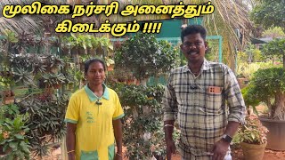 அறியப்படாத மூலிகை தாவரம் முதல் அனைத்து பழ மரங்களின் நாற்றுக்கள் கிடைக்கும் #தேனி மாவட்டம்