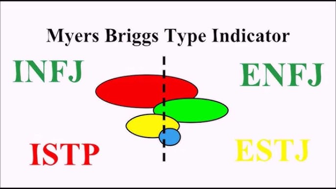 Matt Personality Type, MBTI - Which Personality?