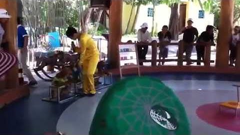 Sóc xem xiếc thú Hót clip vui hay hài hước 2014