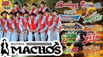 Thumbnail of Banda Machos, Banda Maguey, Banda cuisillos, Banda El Recodo,... ✅ Tecno Bandas Mejor Musica