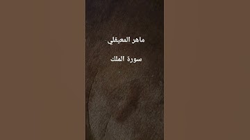 #ماهر_المعيقلي #سورة_الملك #القرآن_الكريم #اكسبلور #مصر #الجزائر #love