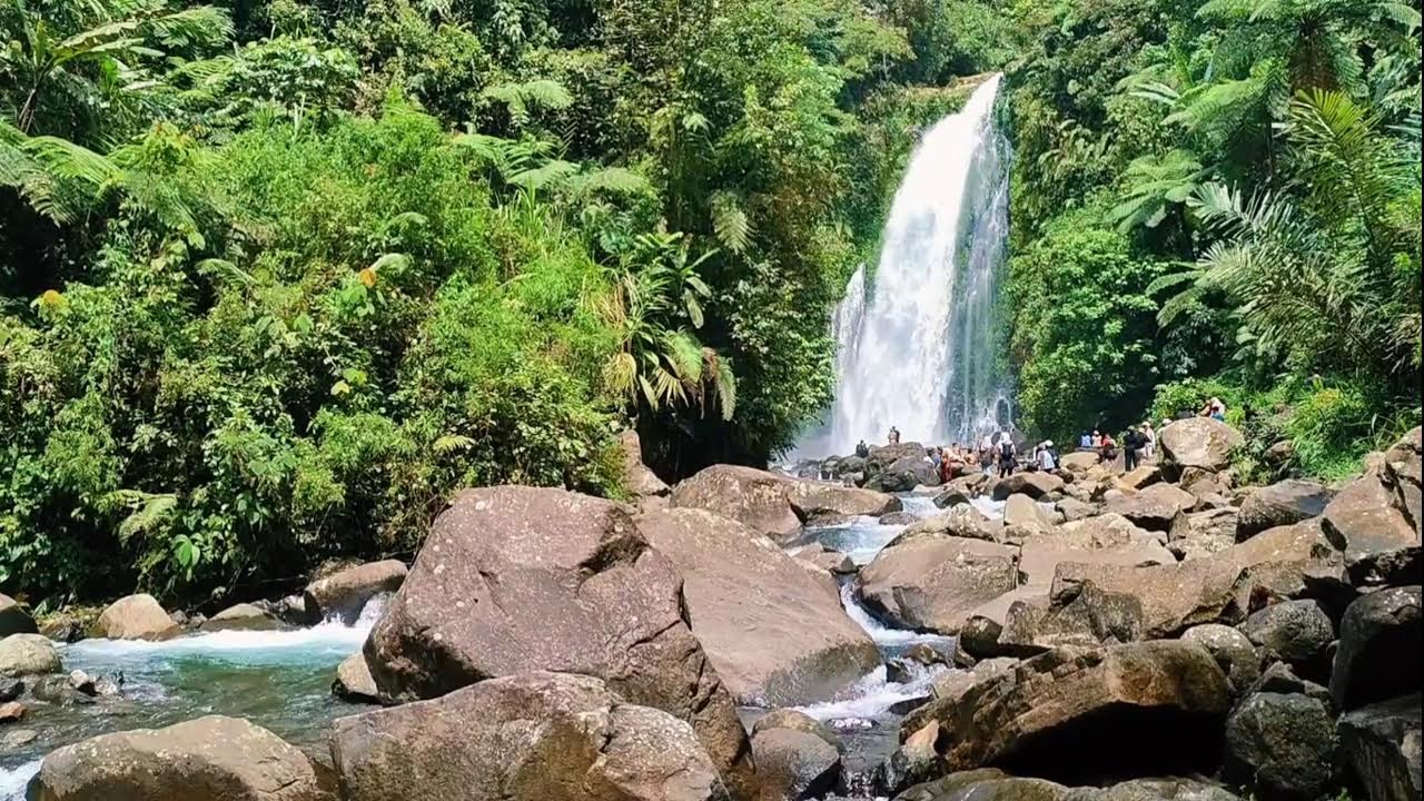 Waterfall Bird Sound Forest Indonesia ASMR for Deep Sleep Mindfullness Anxiety Focus study adlı videoyu YouTube'da izle Waterfall Bird Sound Forest Indonesia ASMR for Deep Sleep Mindfullness Anxiety Focus study adlı videoyu YouTube'da izle