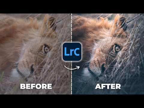 The #1 Cause Of Bad Wildlife Editing