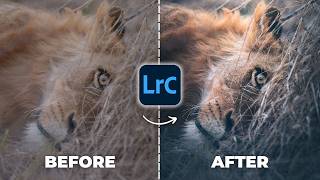 The Cause Of Bad Wildlife Editing
