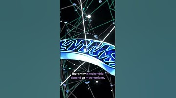 Magnesium, CoQ10, PQQ: The Real Energy Keys #energy #health #mitochondria