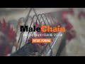 MaleChain: Rooster Chain Feeding