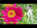 【Yumemi Nemu】虹の下のどしゃ降りで 2006;In the downpour under the rainbow(Yumi Matsutoya)【Vocaloid 5】夢眠ネム