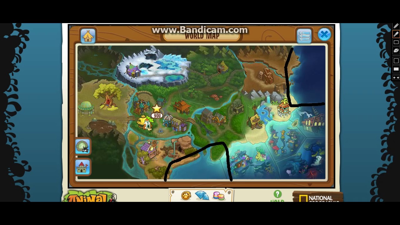 Animal Jam Changed The Map New Ocean Island Confiremed Please
