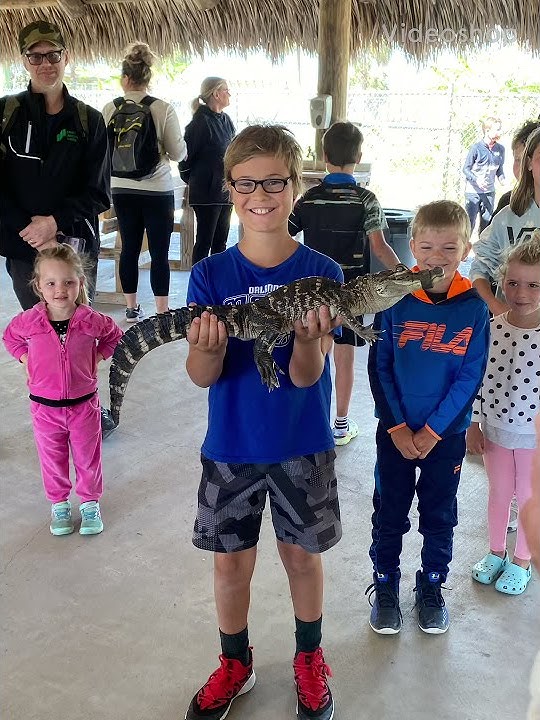 I held a 4 foot gator and giant crocs in the Everglades awesome footage