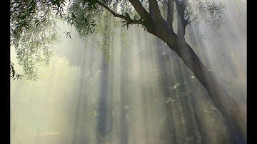 Free ambient track: Ambient Wave 10 (Stretched) | Ambiance Wave (by Erokia)