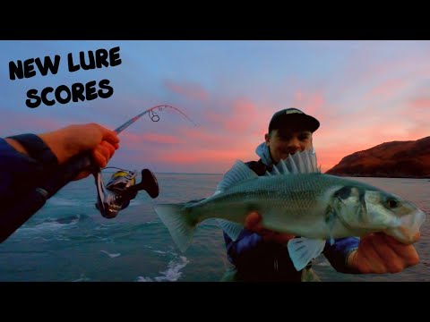 CHASING fish before SUNRISE with a NEW LURE, lure fishing for bass