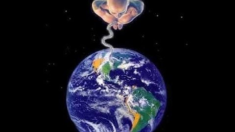 Пуповина нашего Мира