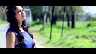 Businessman | davinder gill | new punjabi songs 2016 | latest punjabi songs 2016 | trendz music