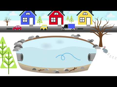 Stormwater Pond Safety