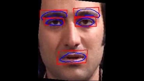 facial feature tracking