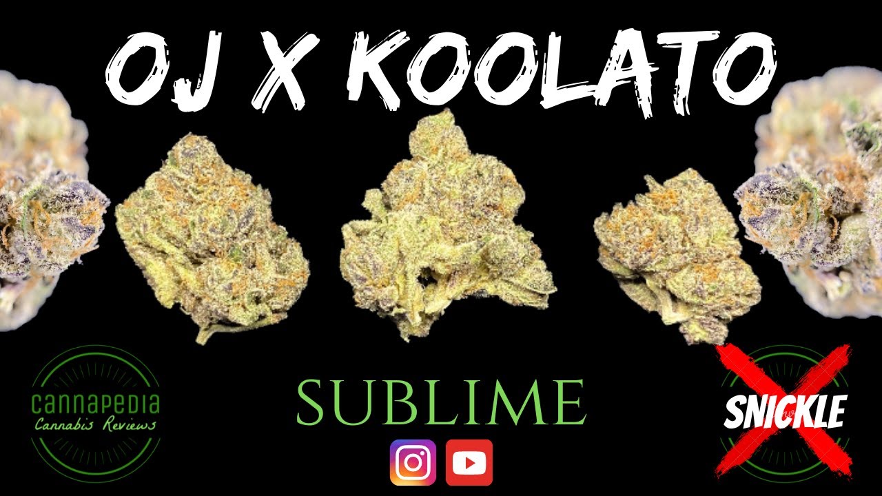 OJ x Koolato Strain Review - Sublime - Cannapedia