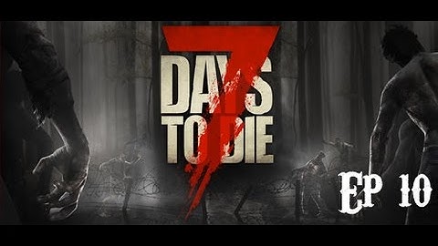 7 Day
