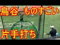 【芸術!】鳥谷敬の片手打ちがすごい!打撃練習 ドンマイマイフレンド 阪神タイガース 2017-6-7