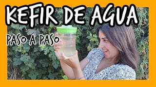 Kéfir de agua. Qué es, Propiedades y por qué es un Probiótico Increíble