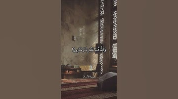 إِنَّا نَخَافُ مِن رَّبِّنَا || سورة الإنسان || علي جابر