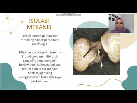 MEKANISME SPESIASI | ISOLASI REPRODUKSI