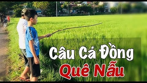 CÂU CÁ RÔ ĐỒNG Ở QUÊ NẪU PHÚ YÊN