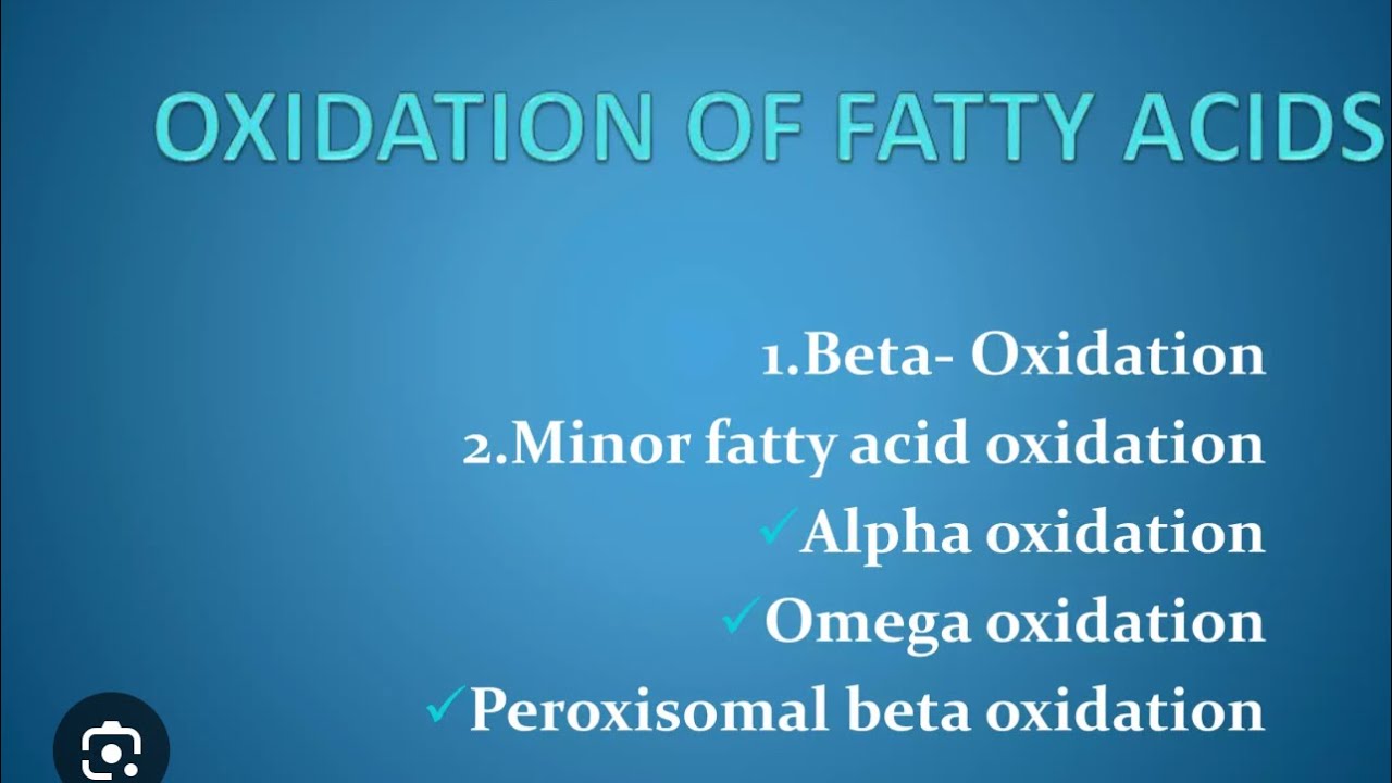Fatty acid oxidation in detail 