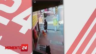 Mascota robada en barrio la Estancia