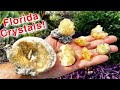 Crystal Digging in Florida while Giving Rucks Pit a Makeover using Excavator