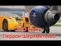 Перронная жизнь в аэропорту Шереметьево. Радиообмен.