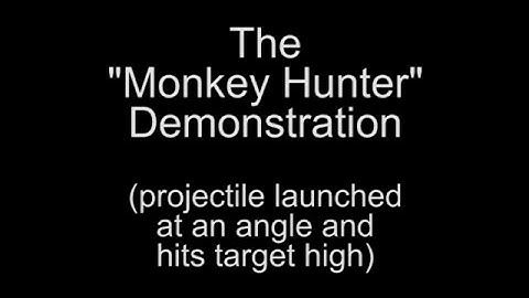 Monkey Hunter 3
