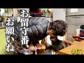 【キヨと祖母】みんなに『お留守番』を頼む、祖母の大晦日