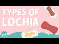 The Types of Lochia - Maternity Nursing - NCLEX