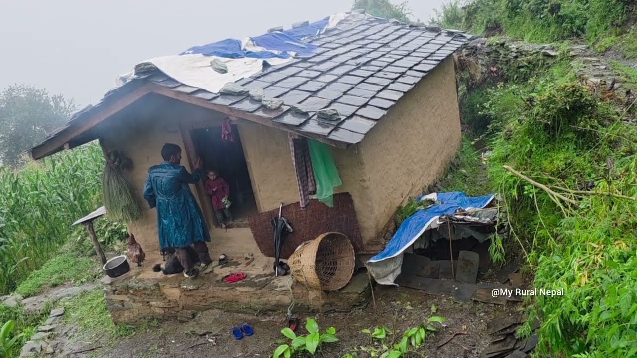 Real Nepali Remote Village Life with Daily Activities including Rainy season।।