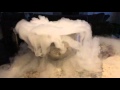 Fun with Frozen CO2