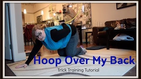 Hoop Jump Over My Back | Trick Training Tutorial