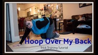 Hoop Jump Over My Back | Trick Training Tutorial