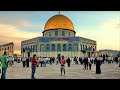 القدس عربية  وينك  صلاح الدين