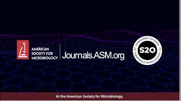 ASM Shifting to a Subscribe to Open Model for 2025