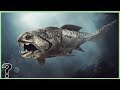 What If The Dunkleosteus Didn't Go Extinct?