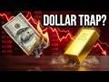 The Dollar's Final Warning: Why the World is Hoarding Gold
