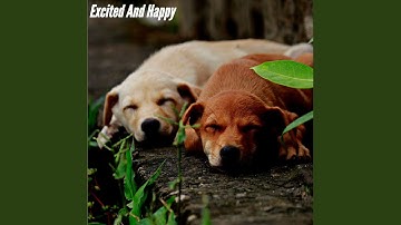 Pulsating Ambience for Energetic Waves