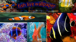 How To Set Fish Live Wallpaper On your Screen screenshot 4
