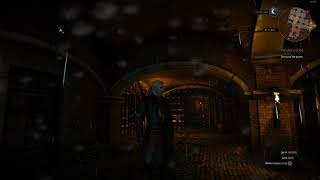 The Witcher 3 - raining glitch